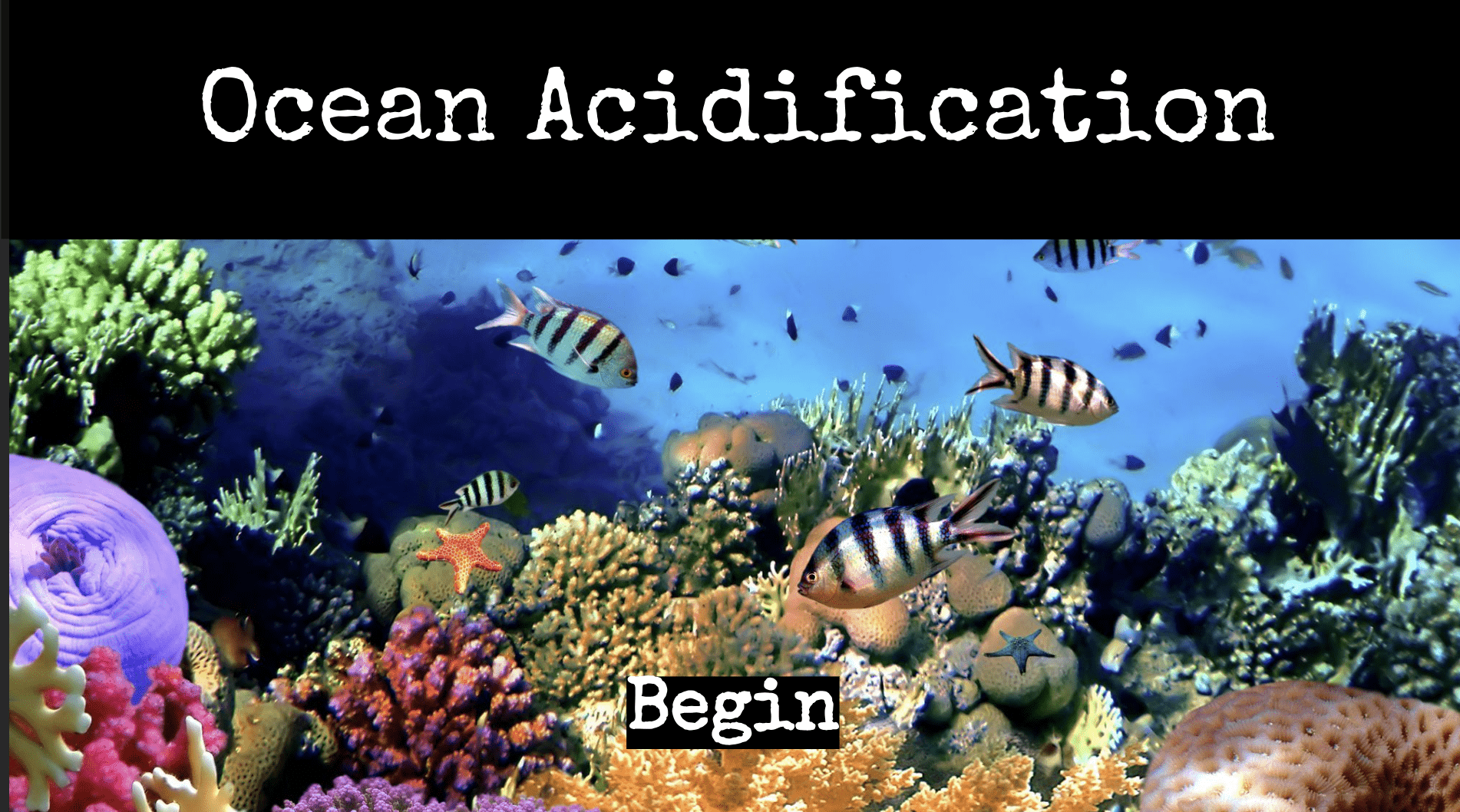 Ocean Acidification